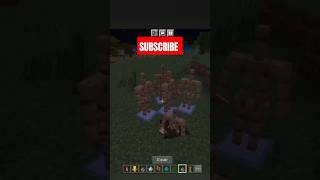 😯Aamer stand can use totams🤯 minecraft [upl. by Kasevich658]