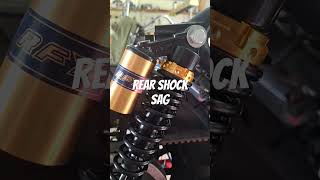 Is Cafe Racer Sportster Rear Shock Sag Ruining Your Ride [upl. by Benji]