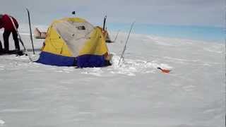 Setting Up a Tent in Antarctica in 20 Seconds POLAR VISION [upl. by Enelrak]