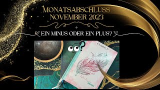 💞Monatsabschluss November 2023│ 😳Minus oder Plus [upl. by Flor948]