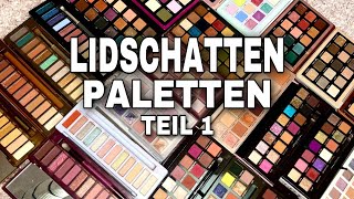 SCHMINKSAMMLUNG ✨Lidschatten Paletten Teil 1 High End  Natasha Denona Urban Decay Huda Beauty [upl. by Yerocaj878]