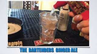 How to Make a quotBartenders Ginger Alequot  Bartending 101 [upl. by Erdne370]