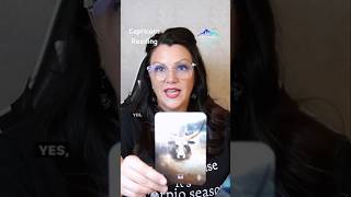 ♑️ CAPRICORN Tarot Nov Reading Linked tarotshorts tarot capricorntarot creatorsonthecrest [upl. by Aneelad]