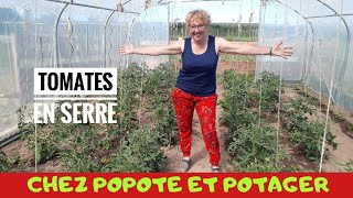 CULTURE ET ENTRETIEN DES 🍅 TOMATES EN SERRE [upl. by Nnaeirb]