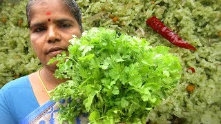 Fresh Coriander Rice Recipe  Prepared by my Mummy in my village  VILLAGE FOOD [upl. by Halak]