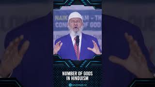 Number of Gods in Hinduism  Dr Zakir Naik [upl. by Eednar]