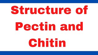 Structure of Pectin and Chitin  Biochemistry [upl. by Descombes]