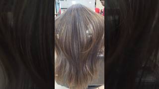 Hair Color Highlights😍 Pujo Preparation💥 hairhighlight jawedhabibs reelsvideo hairstyle [upl. by Beltran]