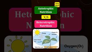 Autotrophic Nutrition vs Heterotrophic Nutrition Class 10 Chapter 1 [upl. by Debee535]