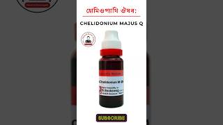 Chelidonium Majus homeopathic medicine চেলিডোনিয়াম হোমিওপ্যাথিক মেডিসিন হোমিও ঔষধ lycopodium 200 [upl. by Lilhak]