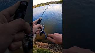 What is it  Ultralight Fishing ultralightfishing [upl. by Annua]