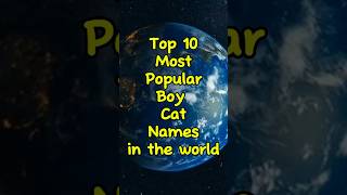 Top 10 Boy Cat Names in the World 😸 cat top10 catshorts [upl. by Arquit]