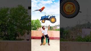 Catching big hen cycle girl horse vs giant frog amp tractor  Funny vfx magic 😄 [upl. by Nyllaf]