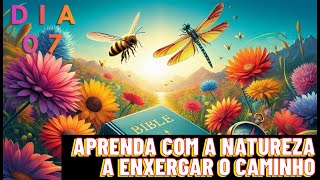 quotBíblia e Bússola Aprenda com a Natureza a Enxergar o Caminhoquot [upl. by Natale]