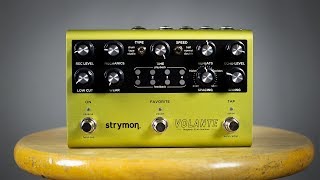 Strymon Volante Glorious Tape Delay Tones Demo [upl. by Assel156]