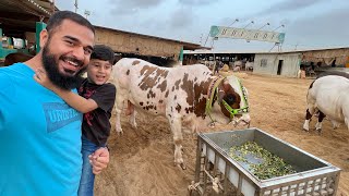 Cow mandi with my son 🐐🐂  Mustafa Hanif BTS  daily vlogs  cow mandi 2022 [upl. by Francklin]