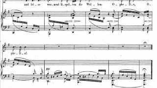 Schumann  Sechs Gesänge Op107  1 Herzeleid [upl. by Carolina]