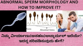 ABNORMAL SPERM MORPHOLOGY IN SEMEN NALYSIS REPORT IN KANNADATIPS TO IMPROVE THE SPERM MORPHOLOGY [upl. by Nollahs]