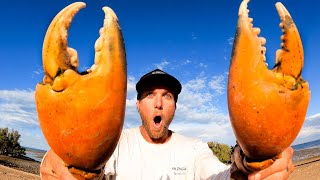 Capturando y Cocinando un CANGREJO GIGANTE – ARCO Y FLECHA VS PECES [upl. by Yltsew]