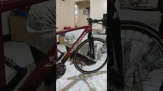 Weapon hybrid bike 700x35c on 29er rim [upl. by Tuppeny]