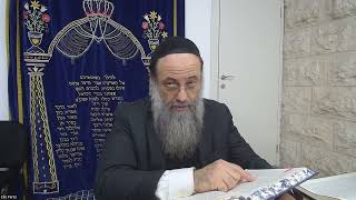 Daf Hayomi  Baba Batra  Daf 142 Rav Elie Perez [upl. by Luby]