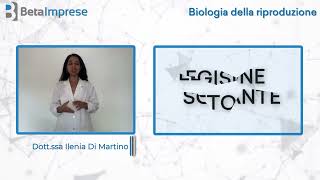 Corso ECM quotBiologia della Riproduzionequot  Dottssa Ilenia Di Martino [upl. by Ashil]