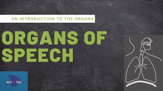 Organs of Speech  An Introduction to the Organs  Speech Mechanism  Phonetics  HSA PSC Exam [upl. by Virendra]