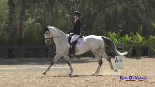 048D Lorelei Frederickson on GR Ragnar Open Modified Dressage Galway May 2024 [upl. by Ycnuahc]