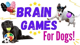 10 Easy Brain Games to Play with your Dog  Mental Stimulation for Dogs [upl. by Hannazus328]