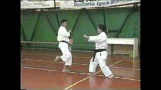 Toyama Sensei Kihon Kumite [upl. by Eremaj]