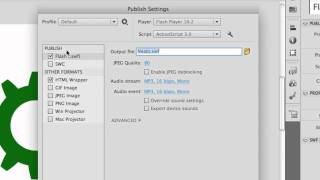 How to make an autorun file flash drive boot up [upl. by Lapotin742]