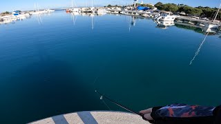 Adriatic Sea Cikvenica fishing in spring on topwater and minnow lures [upl. by Regnij]