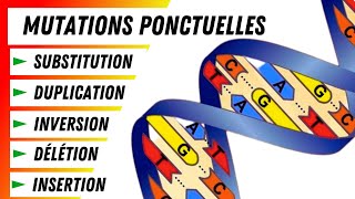 5 Types de mutations ponctuelles Explication détaillée [upl. by Bethesda]