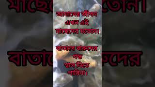 Karar Oi Louho Kopat  রণসঙ্গীত song shorts [upl. by Sefton572]