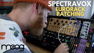 Moog Spectravox  Patching amp Review Part 3 [upl. by Upali]