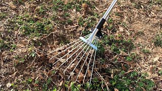 Telescopic Garden Leaf Rake 2021 [upl. by Aninad]