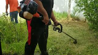 How to cut tall grass with a weedeater echo means business [upl. by Hosea]