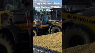 Torp’s Maskinstation i majs stakken newholland silage2024 [upl. by Ellerud]