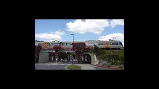 The Doomben Line Brisbanes Part Time Railway shorts australiantrains queenslandrail train [upl. by Buckels10]