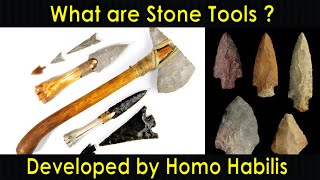 What are Stone Tools  Stone Tools  Homo Habilis  Choppers  Purushotam Academy [upl. by Hudgens897]