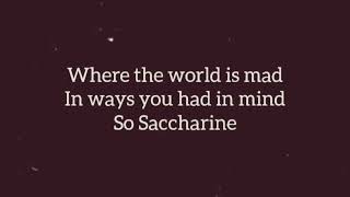 Saccharine Lyric Video [upl. by Etnoed]