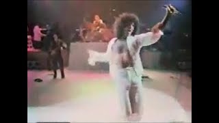 GINO VANNELLI Live  APALOOSA [upl. by Enyleve]