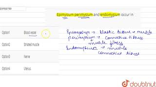 Epimysium perimysium and endomysium occur in [upl. by Rebm447]