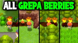 ALL THE GREPA BERRY LOCATIONS ON POKEMON BRILLIANT DIAMOND AND SHINING PEARL [upl. by Prestige]