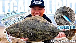 【California Surf Fishing】Flashminnow 110  2024 April to September Highlights【Benjie Kim】 [upl. by Gannie]