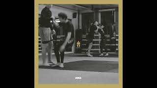 SPARTA ACADEMY  MMA [upl. by Kcitrap]