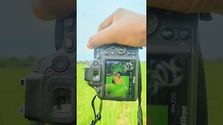 Nikon Camera Photoshoot With Different 📸😱 shorts photography trending india [upl. by Dedric508]