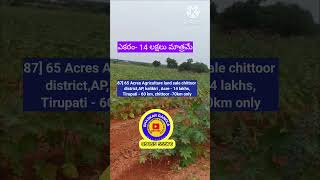 65 Acres Agriculture land sale  chittoor districtAP kalikiri  Acre  14 lakhsTirupati  60 km [upl. by Davilman799]