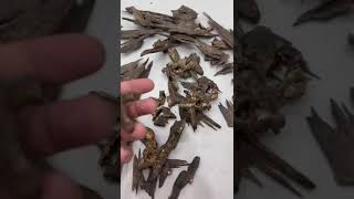 Agarwood chips special category [upl. by Caiaphas504]