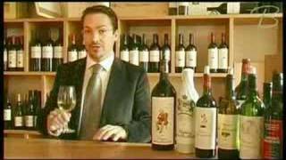 Mouton Rothschild Aile d´Argent AOC  BELVINIDE [upl. by Nosille]